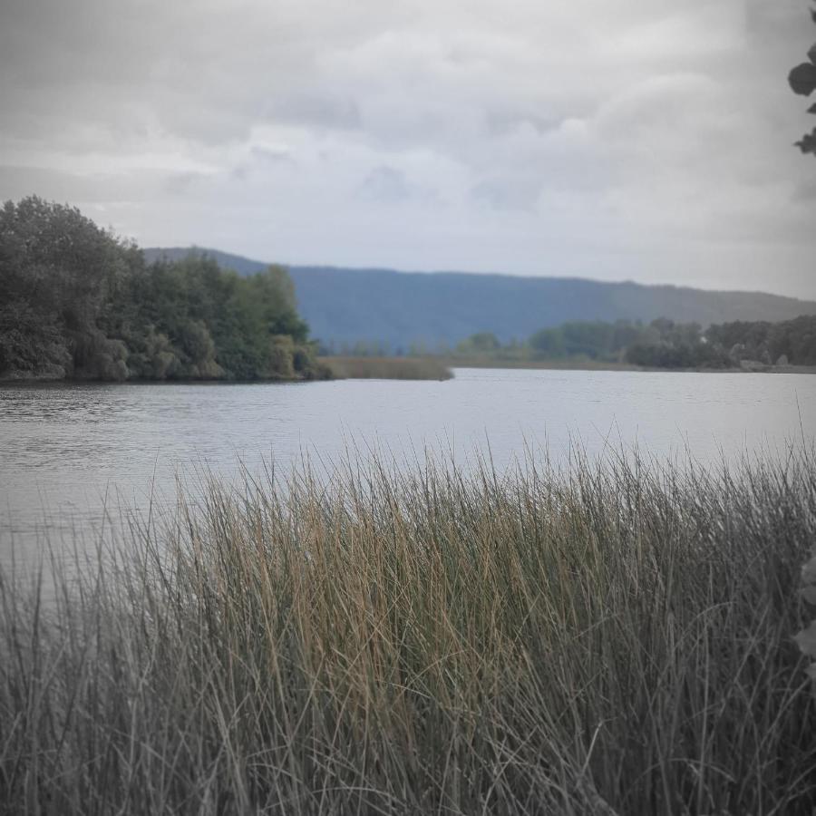 Cabanas Rosner Valdivia Kültér fotó