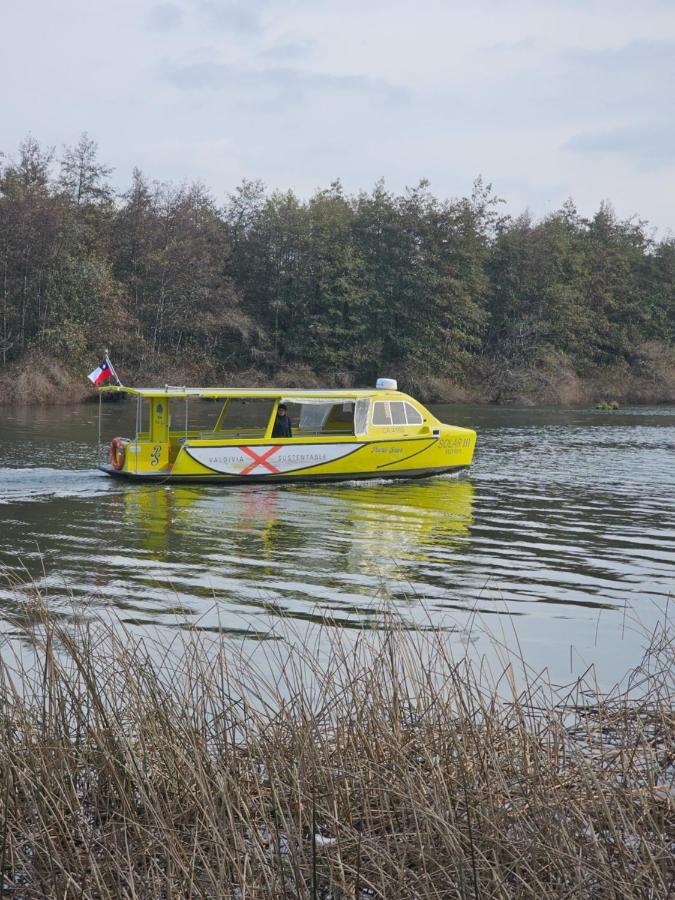 Cabanas Rosner Valdivia Kültér fotó